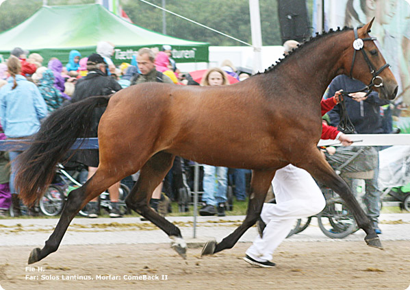 test - //