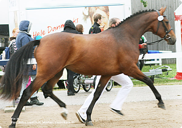 test - //
